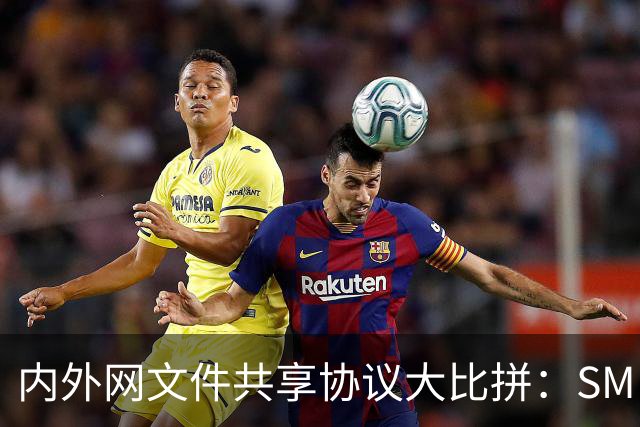 内外网文件共享协议大比拼：SMB、FTP与WebDAV的选择指南